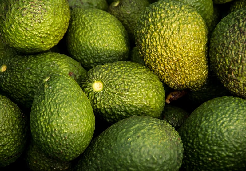 Nutritionist